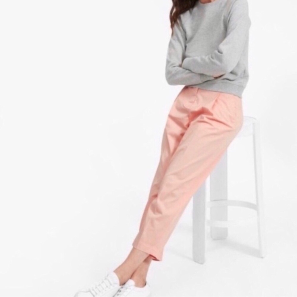 Everlane Slouchy Chino Pants Cropped Pleated Pink Size 6 Ankle Lengtb - Picture 1 of 11